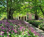 The Mayor’s Garden: History of the Ten Broeck Mansion Gardens & Workers
